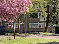 WhatsApp Image 2026-04-16 at 16.34.17 (1).jpeg